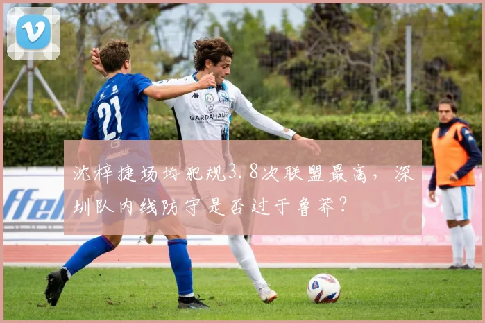 沈梓捷场均犯规3.8次联盟最高，深圳队内线防守是否过于鲁莽？